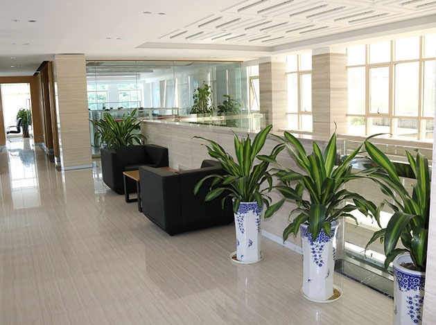 公司場(chǎng)景 公司場(chǎng)景